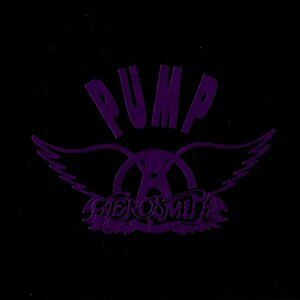 aerosmith pump promo limited edition leather box prom cd - steve tyler joe perry